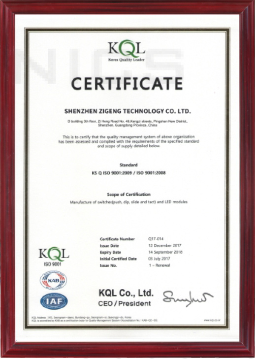 ISO 9001:2009 / ISO 9001:2008